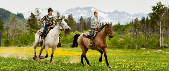 Confident plus-size woman riding Wrexham a horse through a field with a smile on her face.